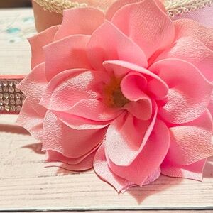 Elegant Pink Floral Dog Collar